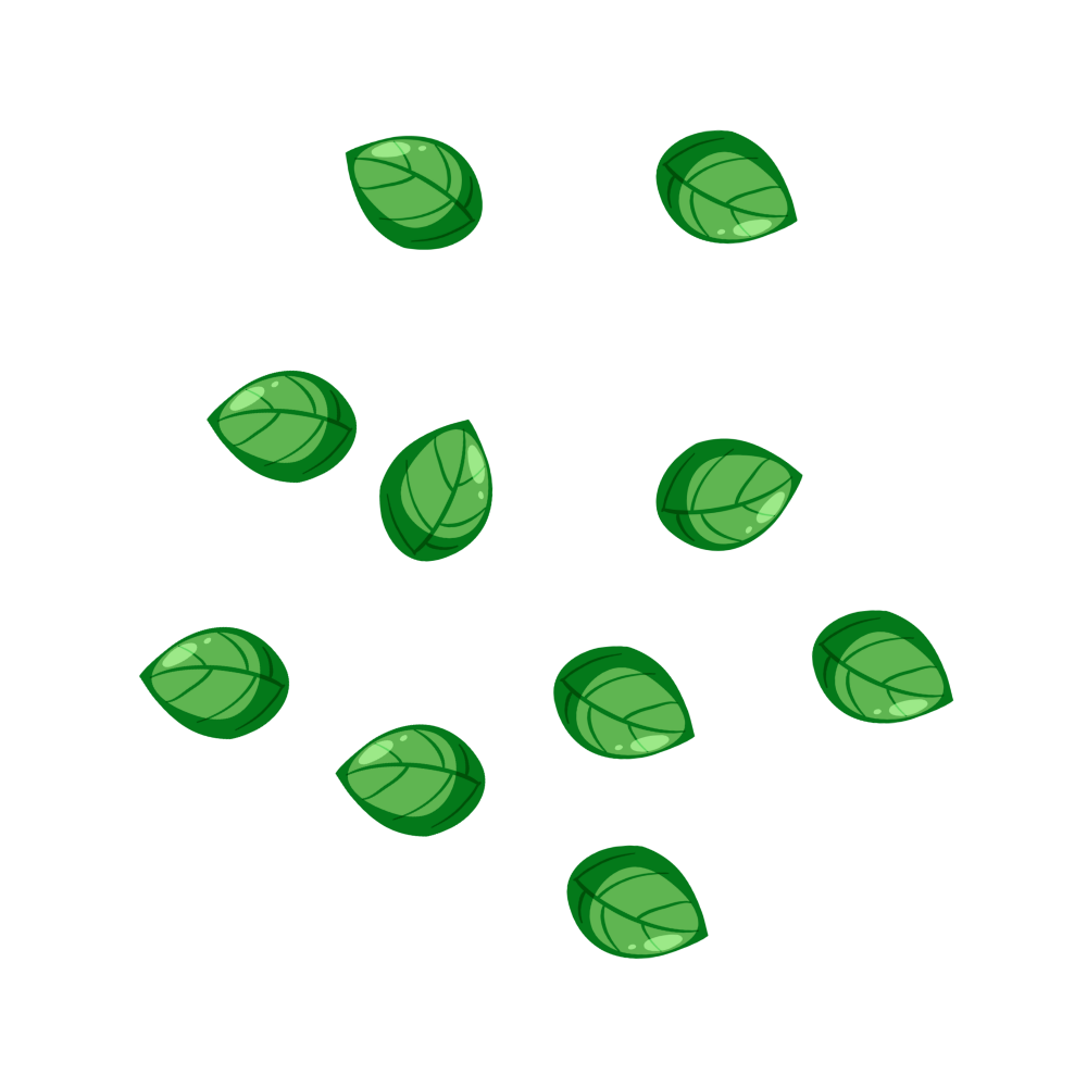 Basil